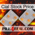 Cial Stock Price 25